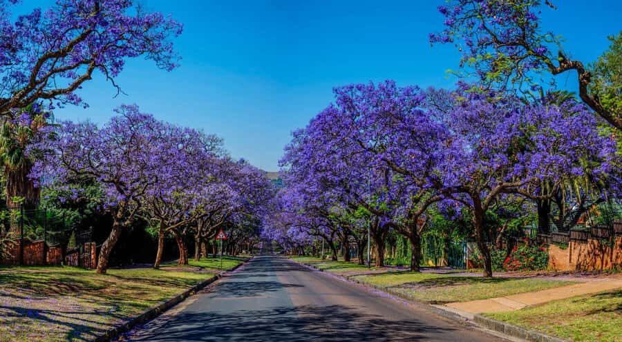 Johannesburg: Pretoria and Cullinan Diamond Mine Tour - Key points worth your attention