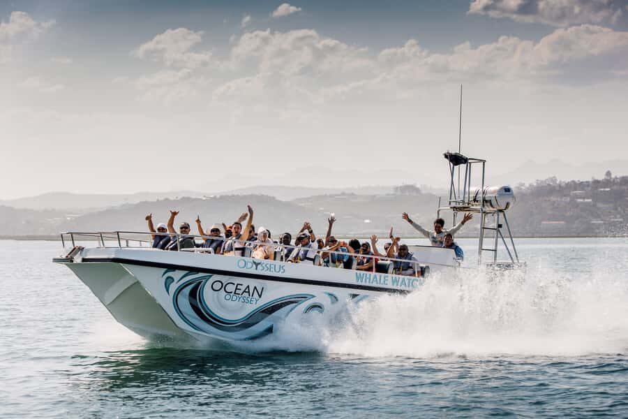 Knysna: Close Encounter Whale Watching Tour by Boat - Sailing through Knysna Estuary and out the Heads