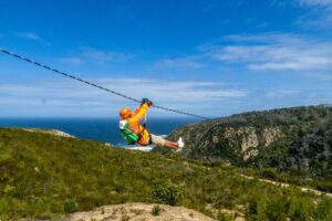 Knysna Ziplines Tour - The Flow of a Typical 2-Hour Run (And What You’ll Likely Do First)