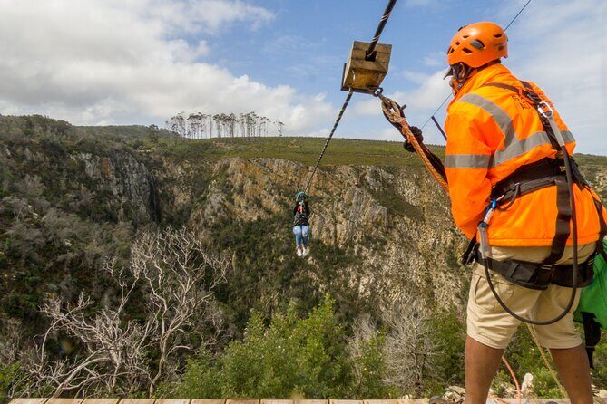 Knysna Ziplines Tour - The Views and the Speed: What the Long Cables Feel Like in Real Terms