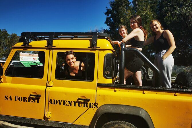 Knysna Ziplines Tour - Fitness, Weight Limits, and Height Anxiety: Who This Fits