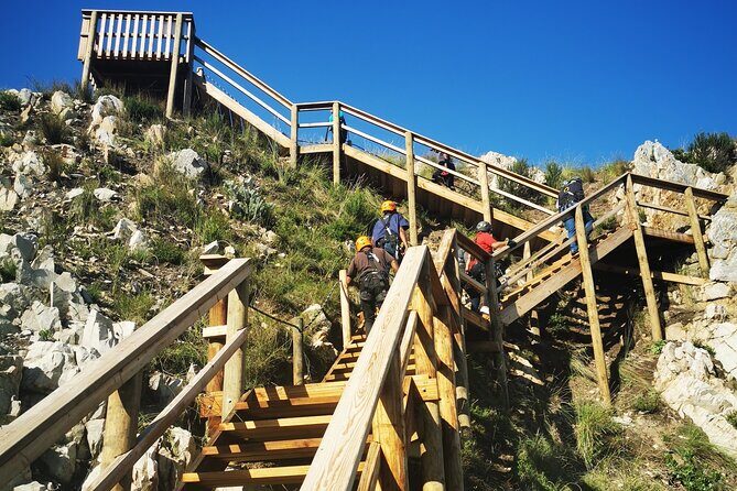 Knysna Ziplines Tour - Meeting Point and Timing: How to Make the Day Go Smoothly