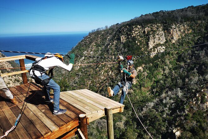 Knysna Ziplines Tour - What to Wear and Bring (Because Small Comforts Matter at 200+ Meters)