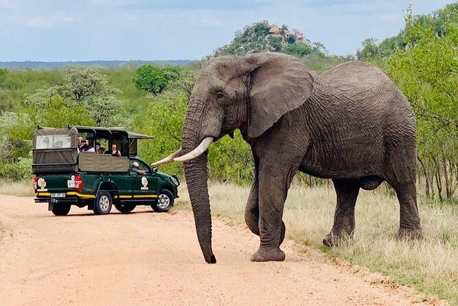 Kruger National Park Full Day Private safari - Key Things I’d Book This For