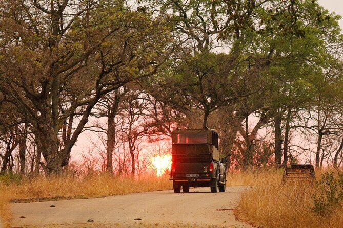 Kruger National Park Full Day Private safari - How Guides Make or Break Your Kruger Day