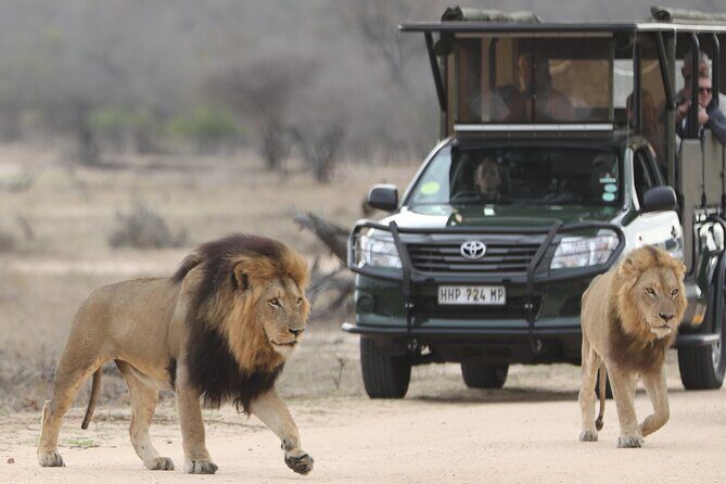 Kruger National Park Full Day Private safari - Price and Value: Is $158.16 a Good Deal?