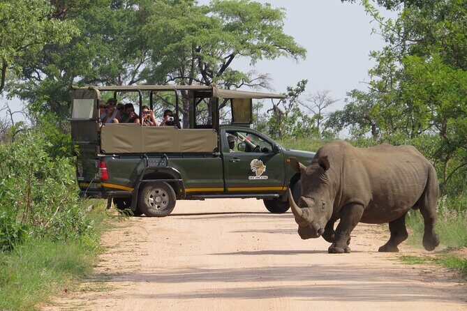 Kruger National Park sunrise Morning Private safari - Key highlights worth planning around