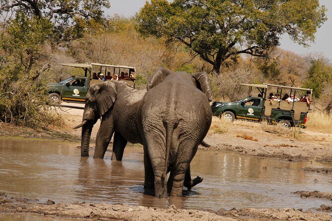 Kruger National Park sunrise Morning Private safari - The timing: what 6.5 hours at dawn really means