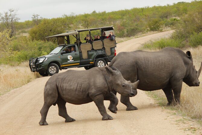 Kruger National Park sunrise Morning Private safari - Price and value: what $131.13 gets you