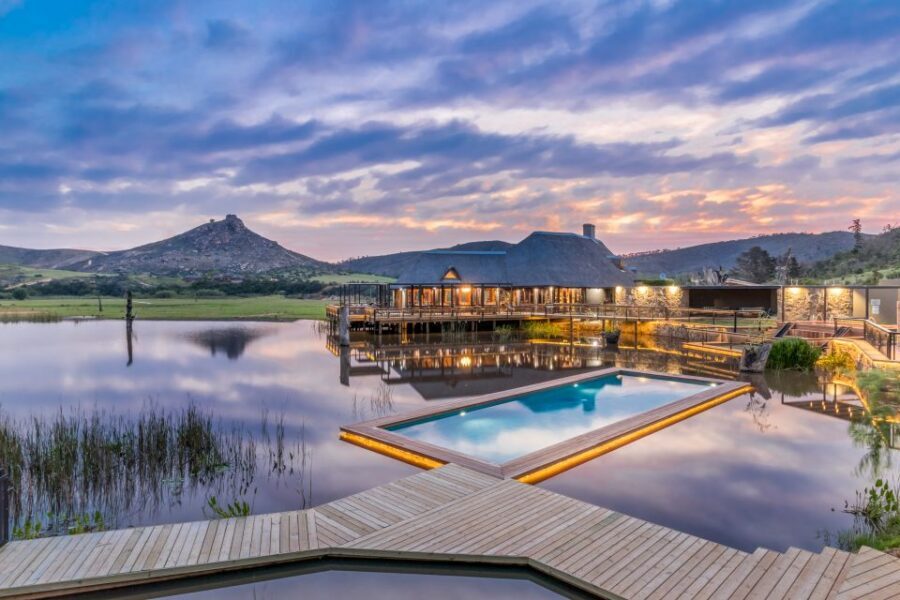 Little Brak River: Botlierskop Guided Game Drive - Open-Vehicle Game Drive: The Good, the Shaky, and the Real Tip