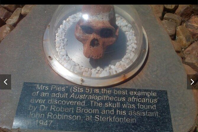 Maropeng Cradle of Humankind Museum &Sterkfontein Cave Experience - Transportation, timing, and comfort on the Johannesburg loop