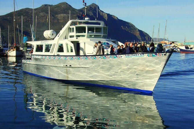 MUST DO: Boulders Beach & Cape Point Full Day Tour #1 Rated - Boulders Beach Penguins: Optional, But the Timing Is Right