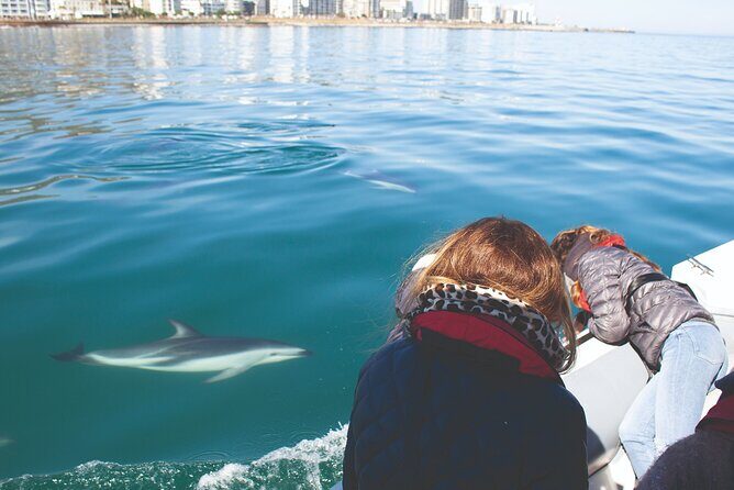 Ocean Wildlife Encounter in Cape Town - Meeting at Oceana Power Boat Club in Green Point