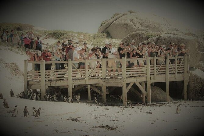 Penguin Encounter Boulders Beach Half Tour Day from Cape Town - Chapman’s Peak Drive: one of the world’s best marine drives for a reason
