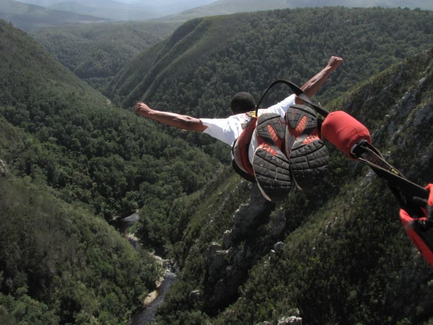 Plettenberg Bay: Bungee Jumping with Zipline and Sky Walk - Key points you’ll feel immediately