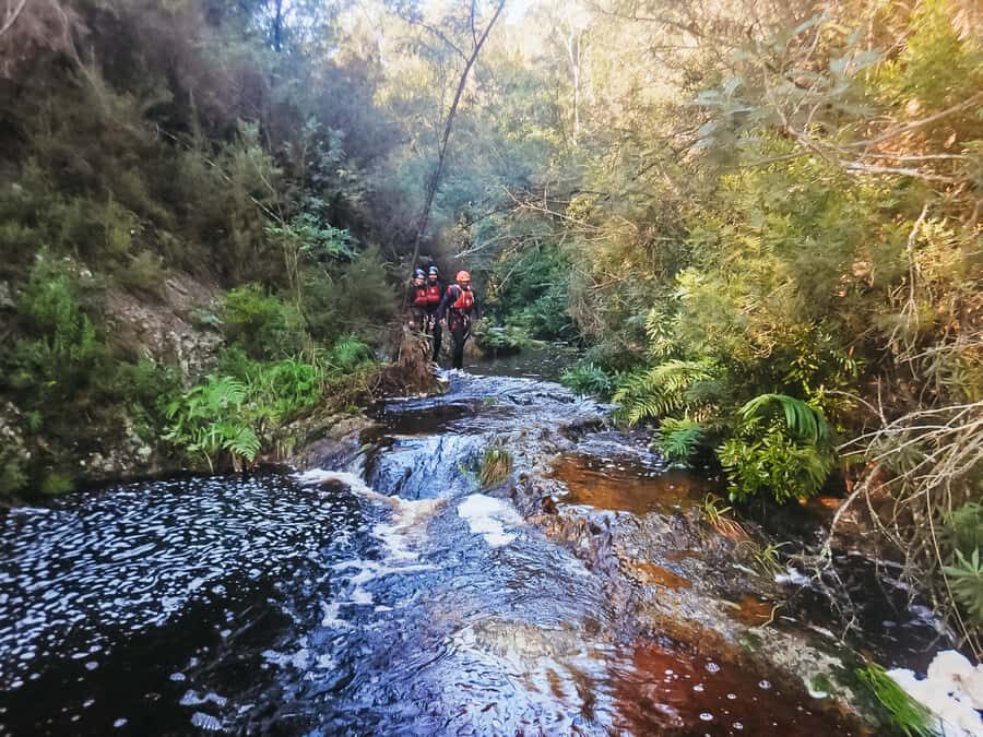 Plettenberg Bay: Canyoning Trip - Key highlights worth planning around