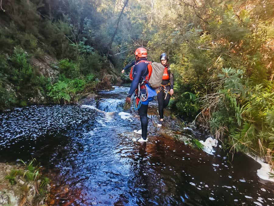 Plettenberg Bay: Canyoning Trip - Price and value check: why this feels like a deal in Plettenberg Bay