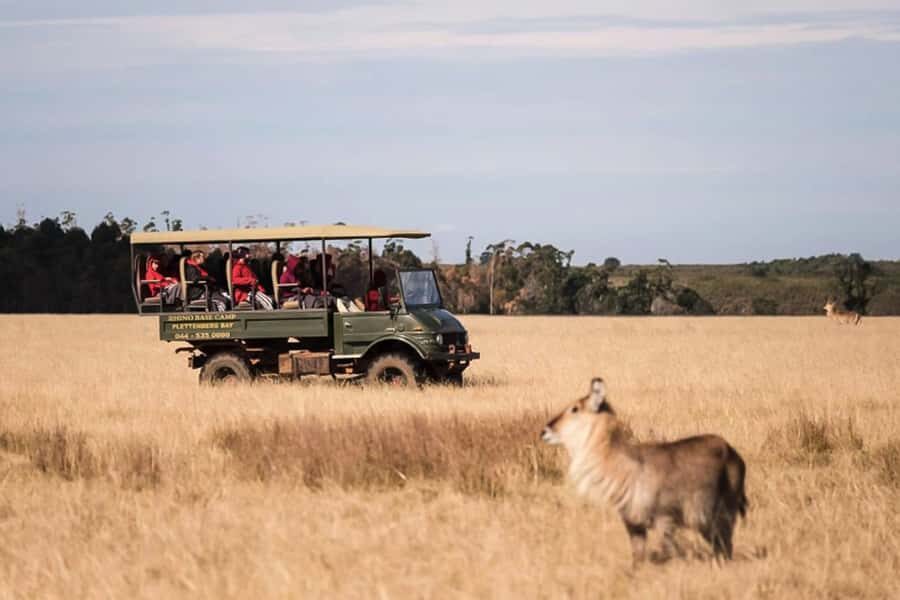 Plettenberg Bay Game Reserve: 2-Hour Game Drive - Key things to know before you go