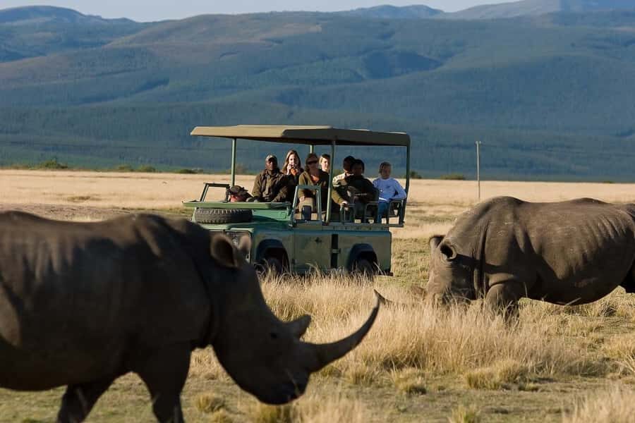 Plettenberg Bay Game Reserve: 2-Hour Game Drive - Two hours in the 2,200-hectare reserve: what the drive feels like