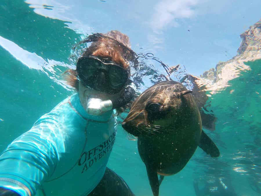 Plettenberg Bay: Swim with Seals - Key Things I’d Bet On Before You Book