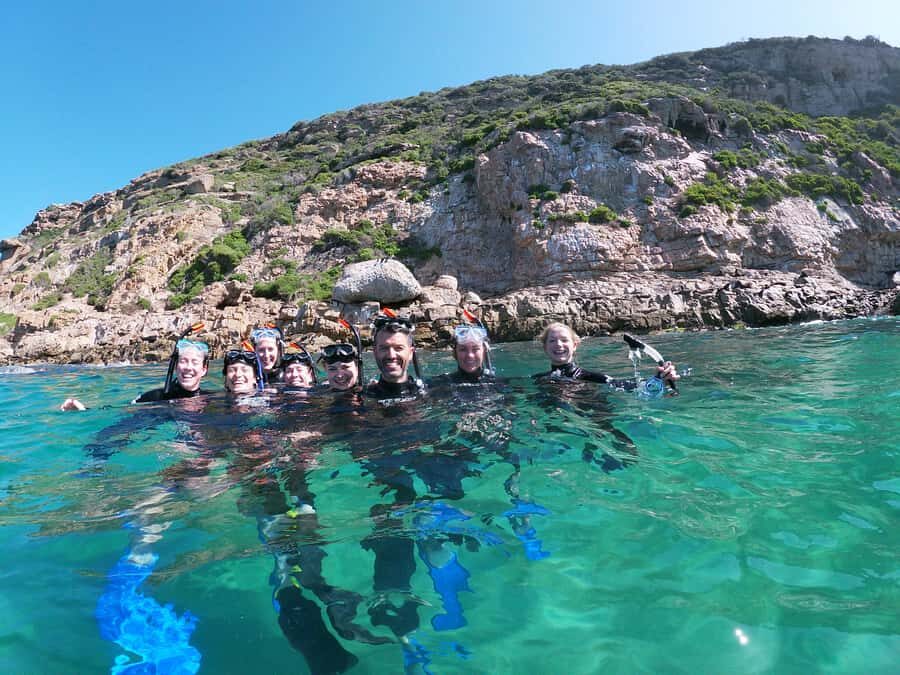 Plettenberg Bay: Swim with Seals - Getting to Offshore Adventures on Central Beach