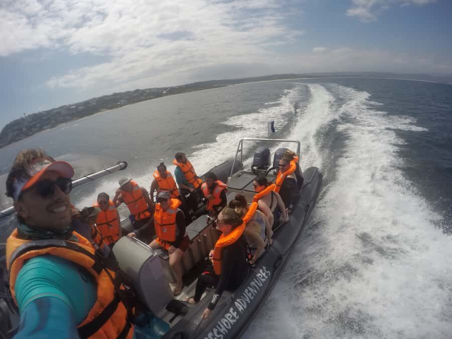 Plettenberg Bay: Swim with Seals - The Safety Briefing: Where the Experience Gets Respectful