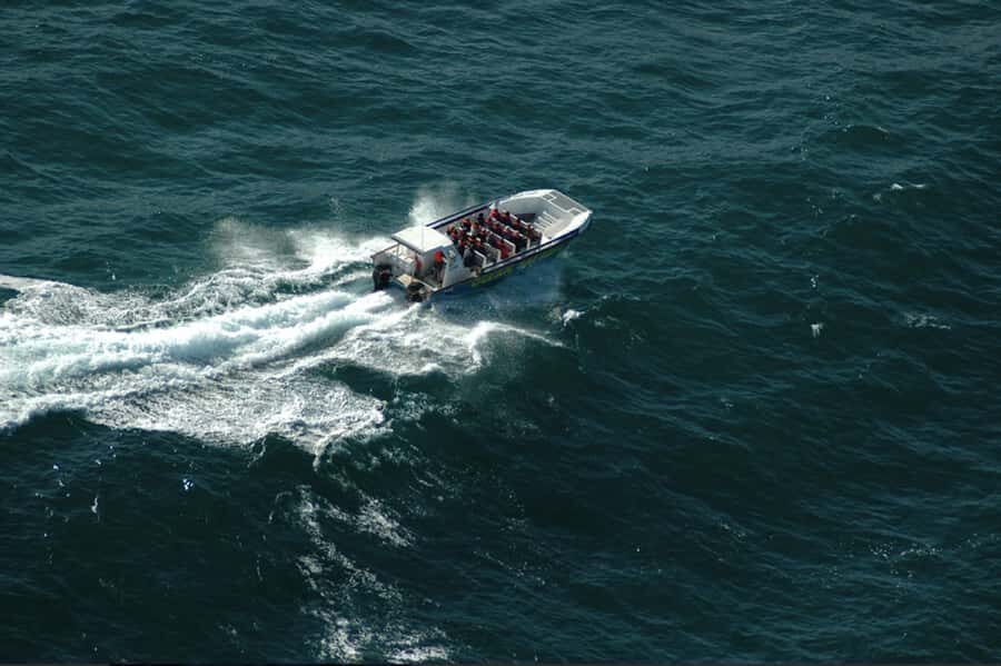 Plettenberg Bay: Whale Watching Boat Cruise - Ocean Safaris at Hopwood Street: where your cruise starts