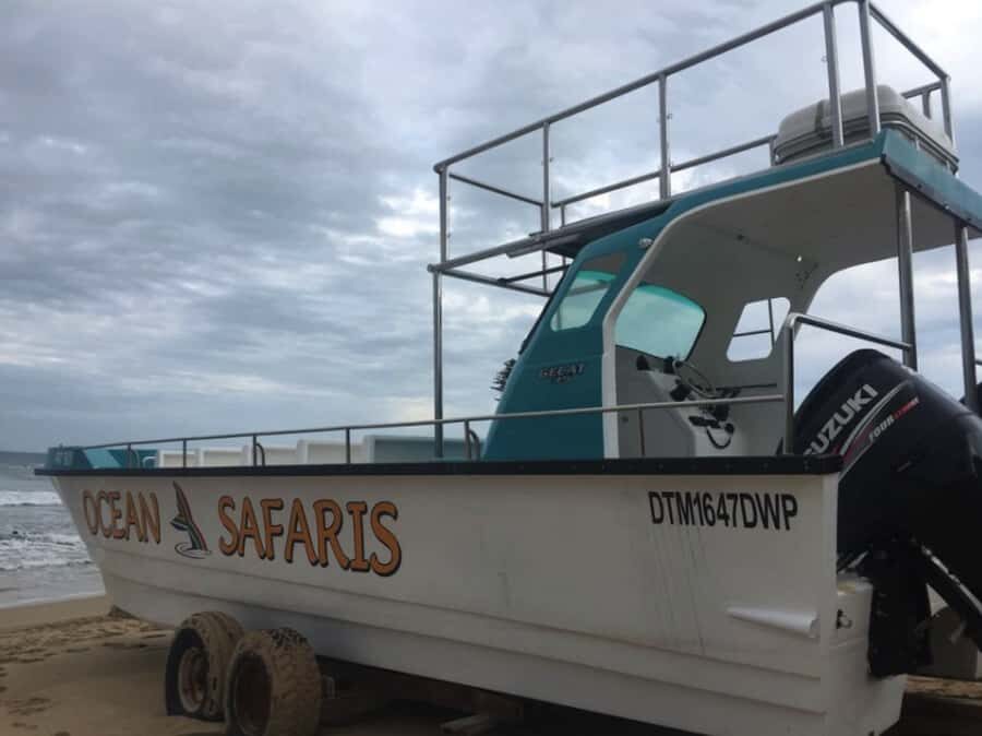 Plettenberg Bay: Whale Watching Boat Cruise - Price value: is $49 for a whale cruise a good deal?