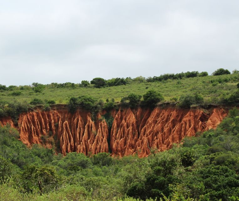 Port Elizabeth: Addo Elephant Park Shore Excursion with BBQ - Price and value: is $164 worth it?