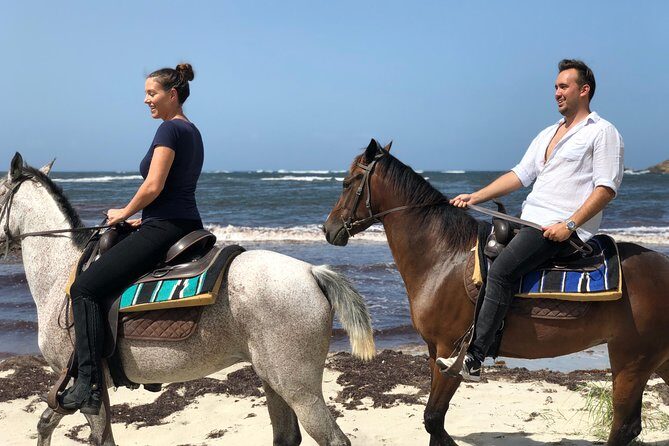 Private Beach Horseback Ride with Sandy Hoofs St. Lucia - Key things to know before you go
