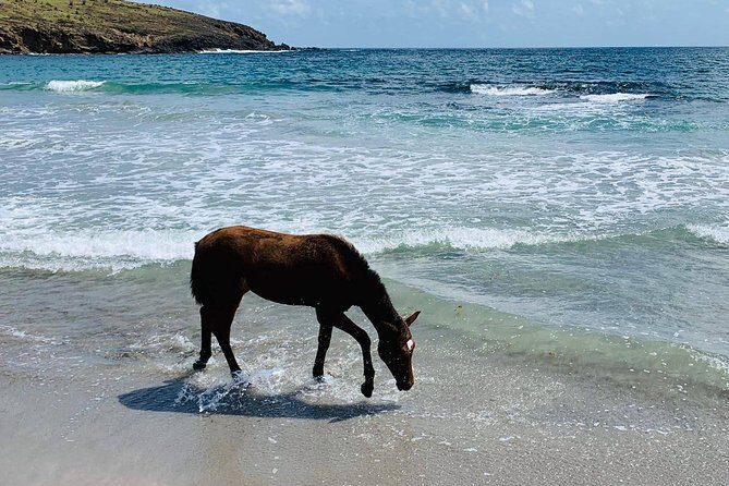 Private Beach Horseback Ride with Sandy Hoofs St. Lucia - The two beach stops: what to expect on the ground