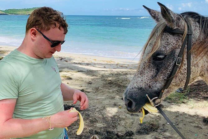 Private Beach Horseback Ride with Sandy Hoofs St. Lucia - Riding into the water: the ocean swim option and how it can change