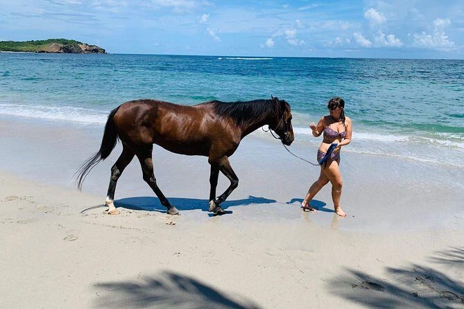 Private Beach Horseback Ride with Sandy Hoofs St. Lucia - The value of $99 per person for a private 2-hour ride