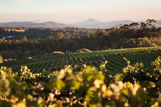 Private Full Day Stellenbosch Wine Tour with Pick Up and Drop Off - Key things that make this tour worth your time