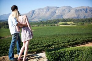 Private Full Day Stellenbosch Wine Tour with Pick Up and Drop Off - The 8-Hour Timeline: How Your Day Stays Relaxed