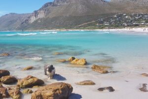 Private Tour Of Penguins, Cape Of Good Hope & Peninsula. - Muizenberg Beach and the Shark Spotter view: quick but scenic