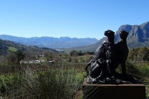 Private Wine Tour with Wine Expert to Stellenbosch-Franschhoek Wine Regions - Price and logistics: what $206.99 really buys
