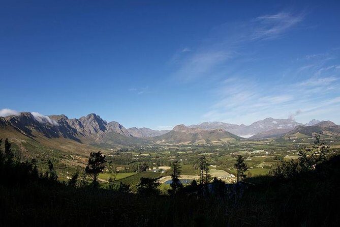 Private Wine Tour with Wine Expert to Stellenbosch-Franschhoek Wine Regions - Stop-by-stop: four wineries where your guide can tailor the choices