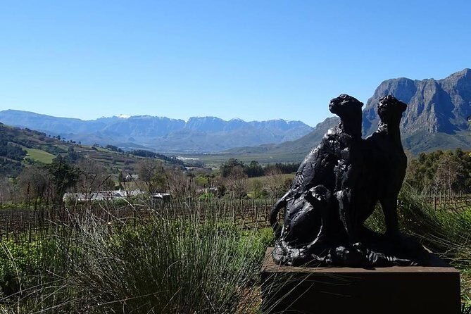 Private Wine Tour with Wine Expert to Stellenbosch-Franschhoek Wine Regions - Price and logistics: what $206.99 really buys