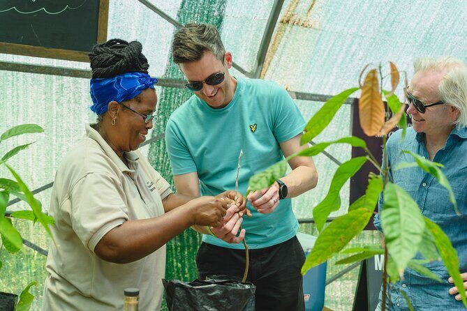 Project Chocolat Tree to Bar Tour at Hotel Chocolat Saint Lucia - The views and the UNESCO World Heritage setting