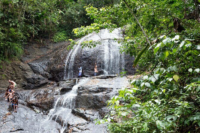 Rainforest Hike and Waterfall Safari - Key highlights worth getting excited about