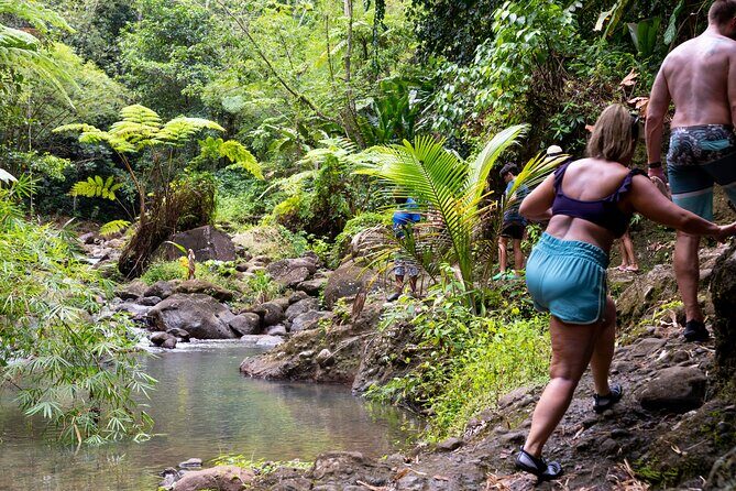 Rainforest Hike and Waterfall Safari - Why the Venus Estate Waterfall Safari Works So Well in St Lucia
