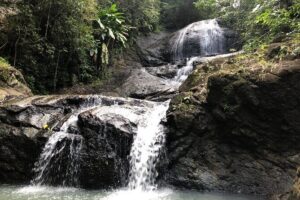Rainforest Hike and Waterfall Safari - Fruit Plantation Sampling: The Stop That Makes It Feel Local