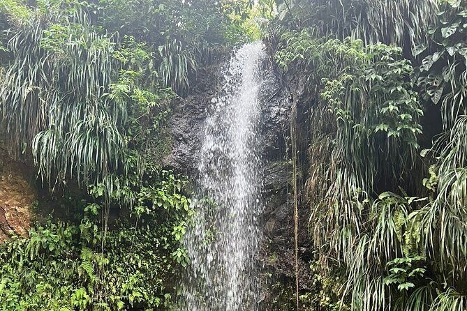 Sea and Land Tour in St. Lucia - Pitons by speedboat: Castries views, then Jalousie Beach snorkeling