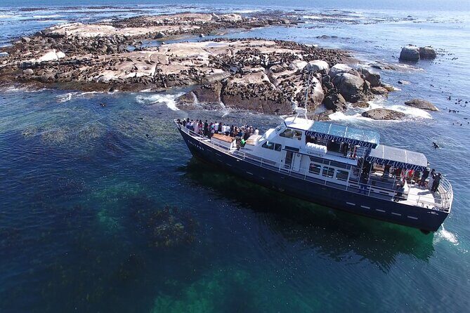 Seal Island,Cape of Good Hope&Penguins Shared Tour,From Cape Town - Noordhoek Farm Village and the ostrich detour: nice breaks, then flightless giants