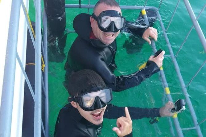 Shark Cage Diving - Sharklady Adventures from Van Dyks Bay: the practical setup