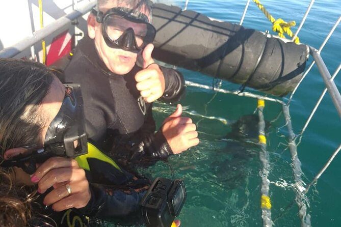 Shark Cage Diving - The catamaran ride: where most people get their best first view