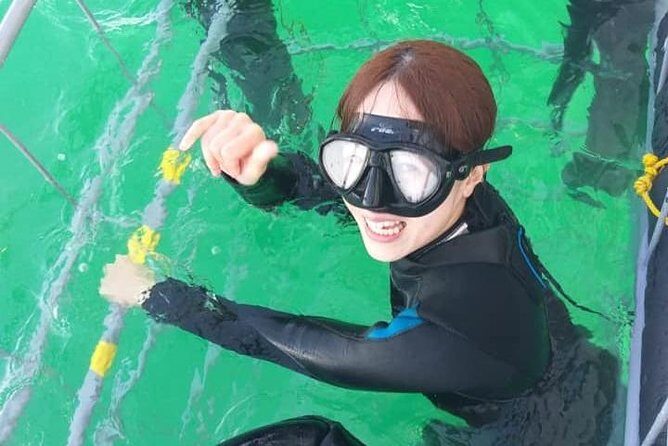 Shark Cage Diving - Unlimited time in the shark cave: how to use it well