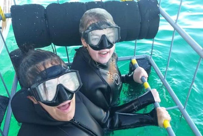 Shark Cage Diving - What the sea time looks like: timing, frequency, and weather reality