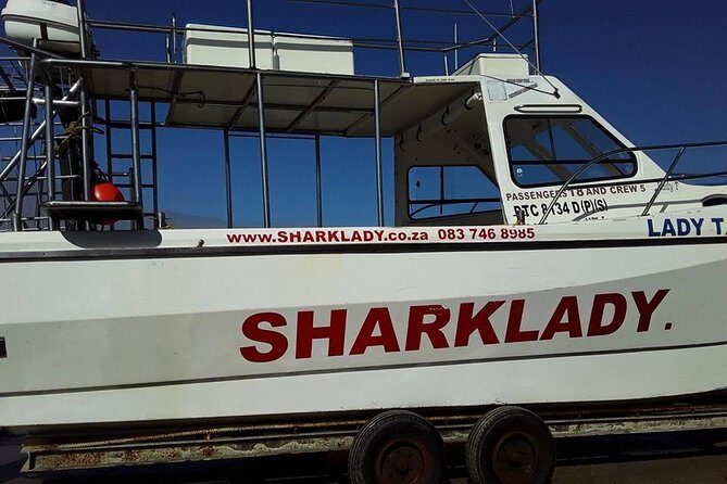 Shark Cage Diving - Sliding into the floating cage: snorkel, breath-hold, or scuba rules